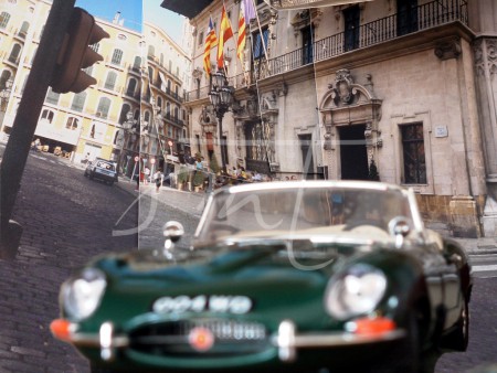 Jaguar en Mallorca