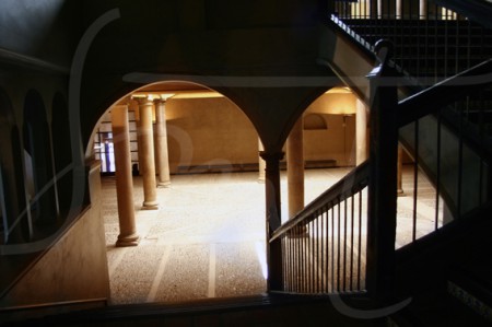 Bellartes